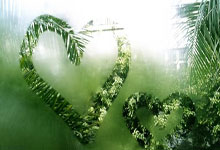 必赢体育官网:塞蒂恩:塞尔吉尼奥没达到100%的状态,津门虎近几场表现出色.