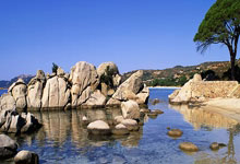 必赢体育官网:西甲3月最佳教练候选:弗里克&佩莱格里尼&希拉尔德斯在列.